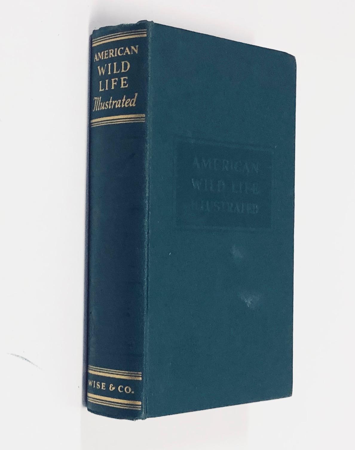 American Wild Life: Illustrated Writers' Program of the WPA (1940) Works Projects Administration