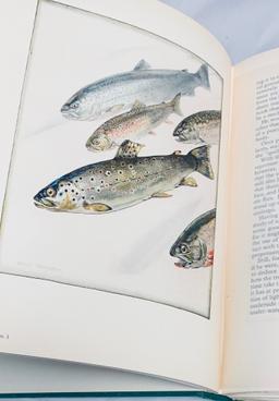 The Book of the Fly-Rod (1931) Edited by Hugh Sheringham FISHING ILLUSTRATIONS