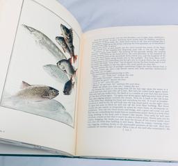 The Book of the Fly-Rod (1931) Edited by Hugh Sheringham FISHING ILLUSTRATIONS