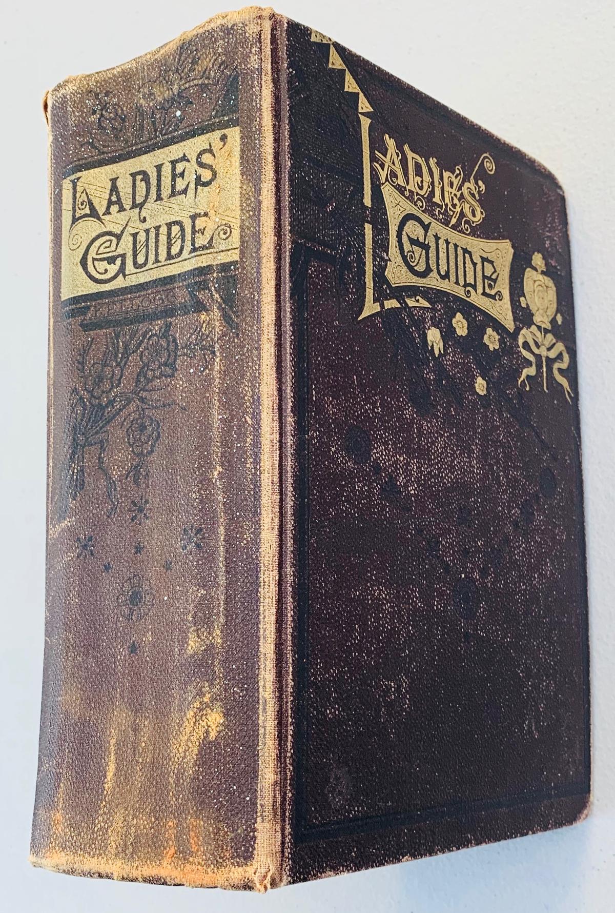 Ladies' Guide in Health and Disease: Girlhood, Maidenhood, Wifehood, Motherhood (1893)