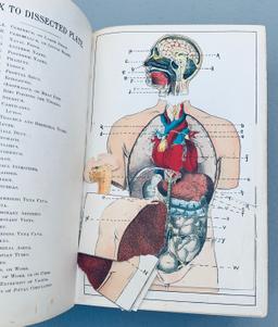 Ladies' Guide in Health and Disease: Girlhood, Maidenhood, Wifehood, Motherhood (1893)