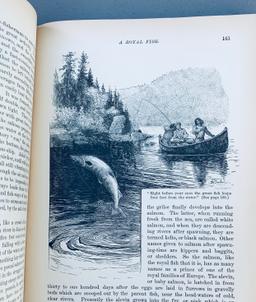 The Boy's Book of Sports and Outdoor Life (1896) Fishing - Hunting - Archery