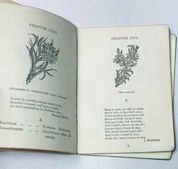 The Illustrated Language of Flowers (1864) with Color Illustrations