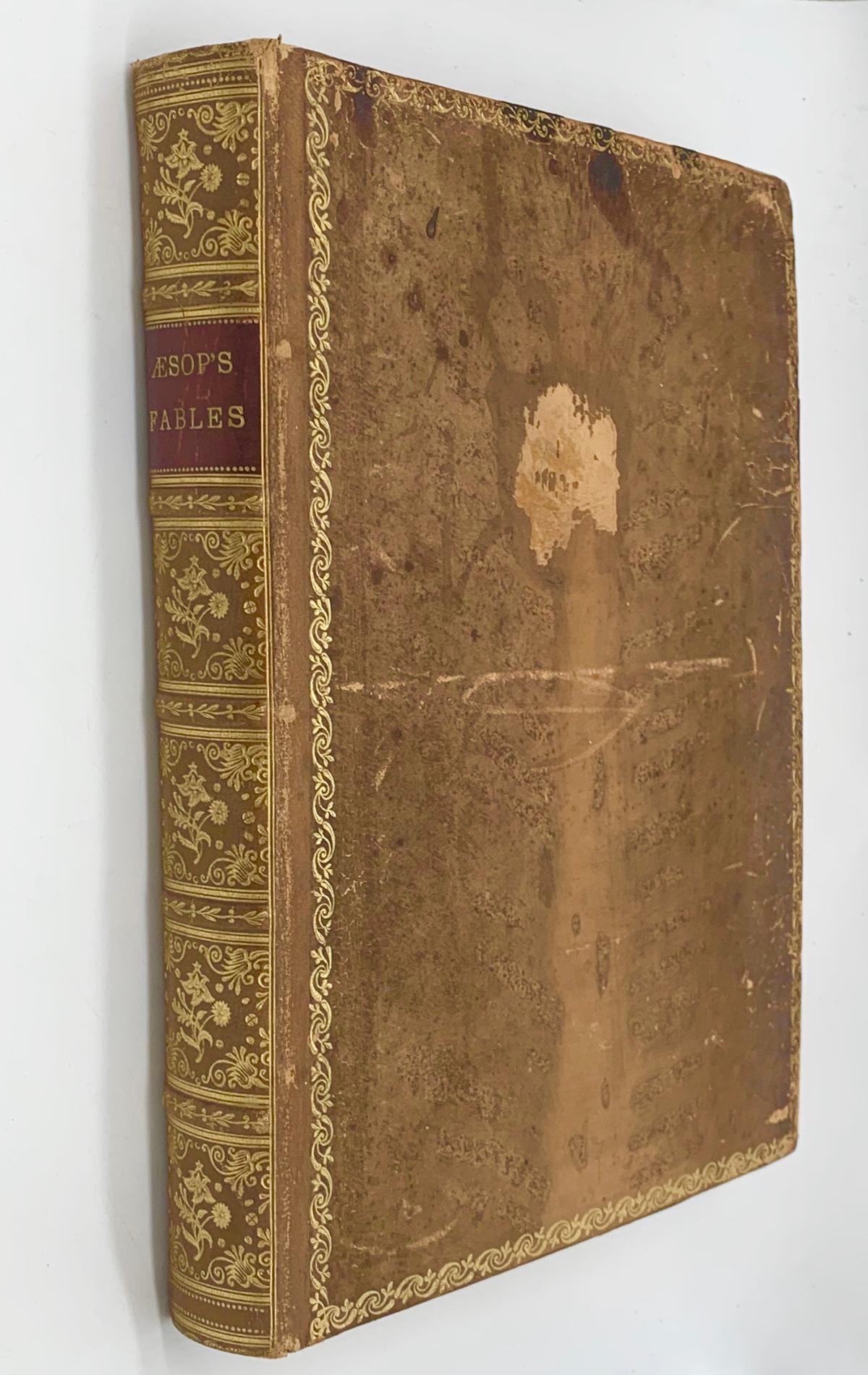 RARE Aesop's Fables Illustrated by Ernest Griset (c.1880) New Enlarged Edition - CUSTOM BINDING