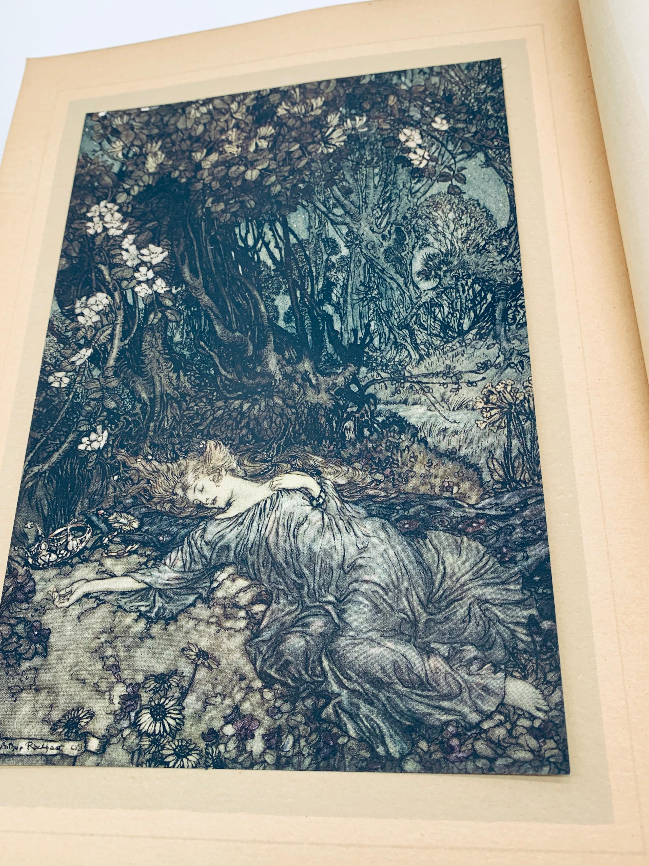 RARE A Midsummer-Night's Dream by William Shakespeare (1908) Illustrated by ARTHUR RACKHAM