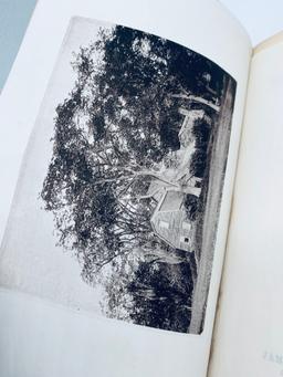 The Woods And By-Ways Of New England (1872)