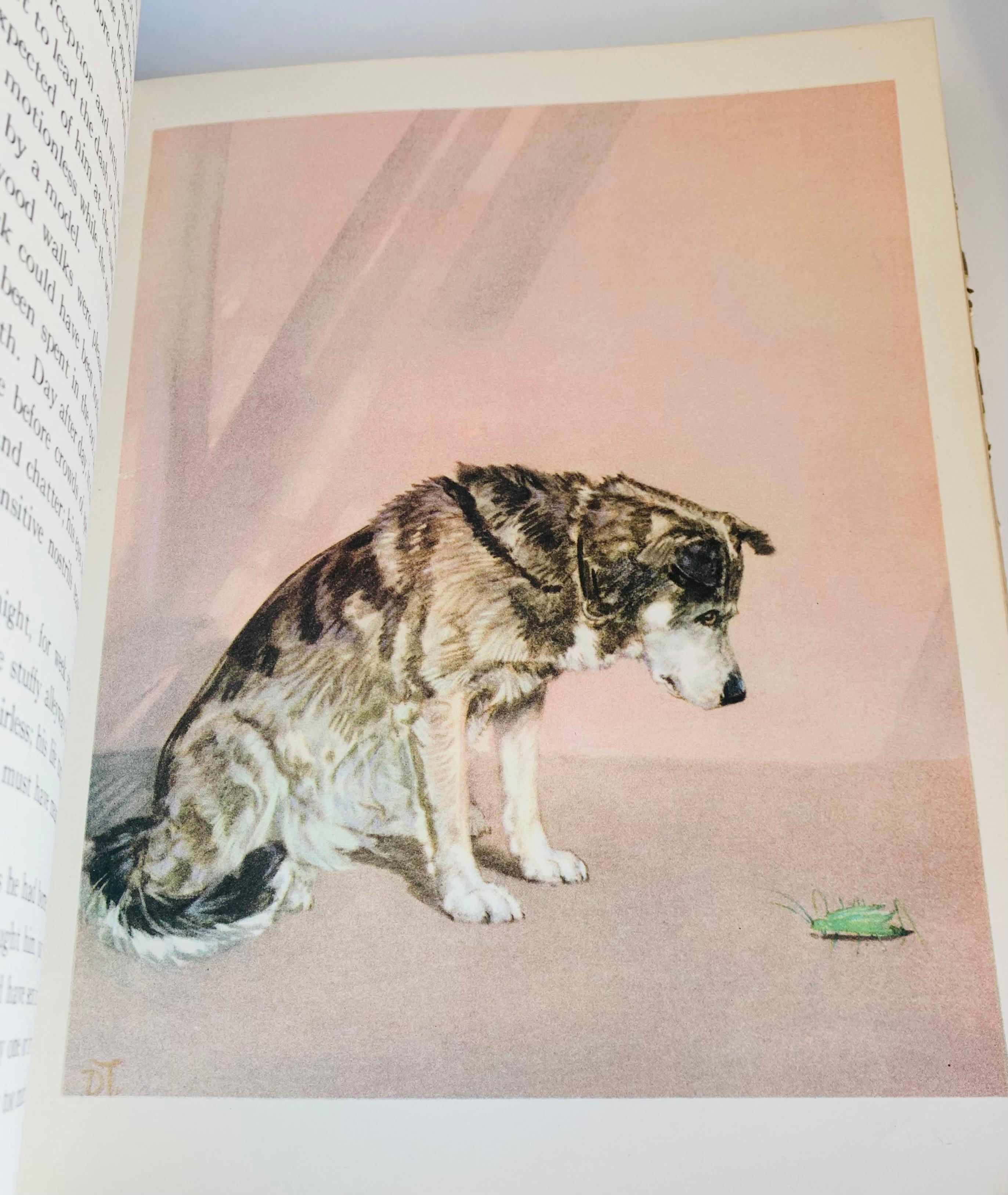 THE DOG BOOK by Diana Thorne (1936) Illustrated with 12 Color Plates