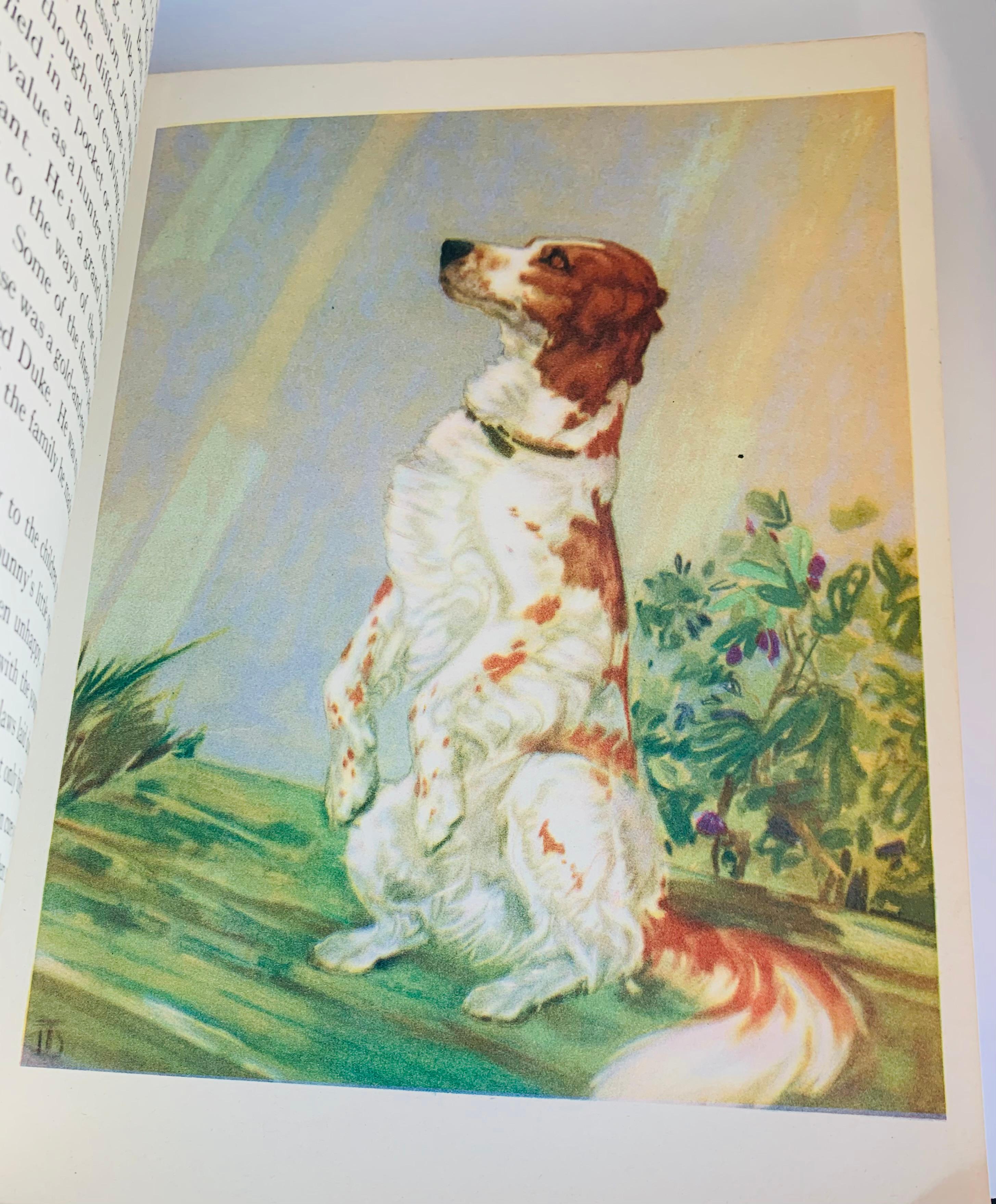 THE DOG BOOK by Diana Thorne (1936) Illustrated with 12 Color Plates