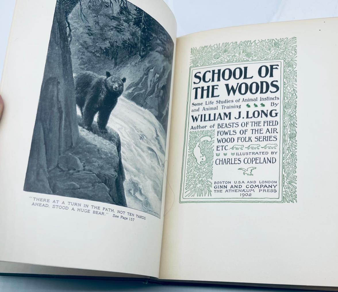 School of the Woods (1902) Some Life Studies of Animal Instincts and Animal Training