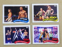 (14) Topps WWE Wrestling Cards