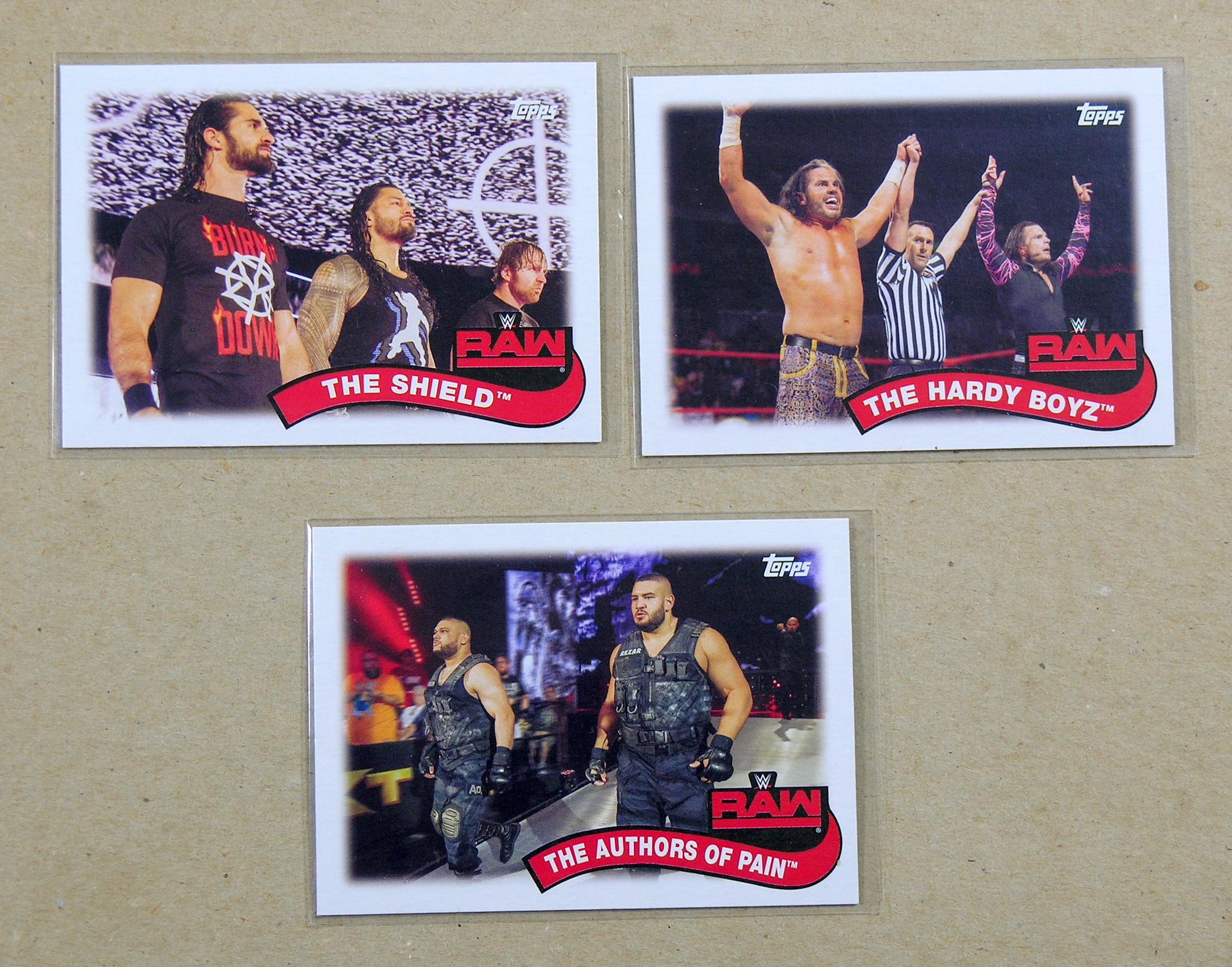 (14) Topps WWE Wrestling Cards