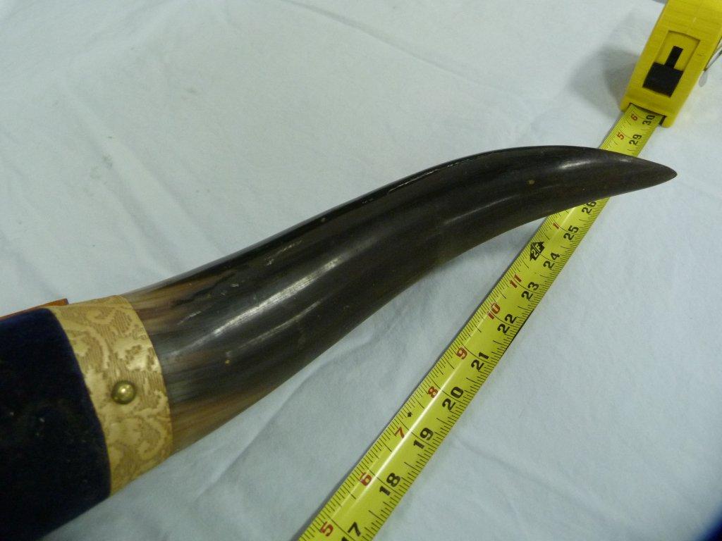 Mounted horns, 27-1/4" L