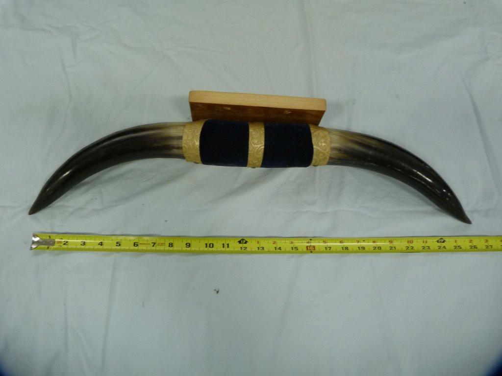 Mounted horns, 27-1/4" L