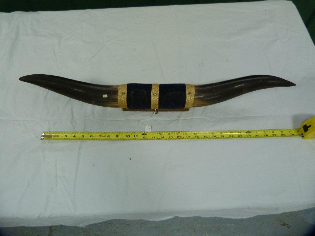 Mounted horns, 27-1/4" L