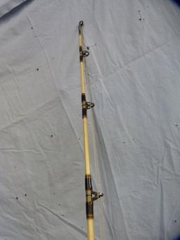 Daiwa Sealine fishing rod & reel