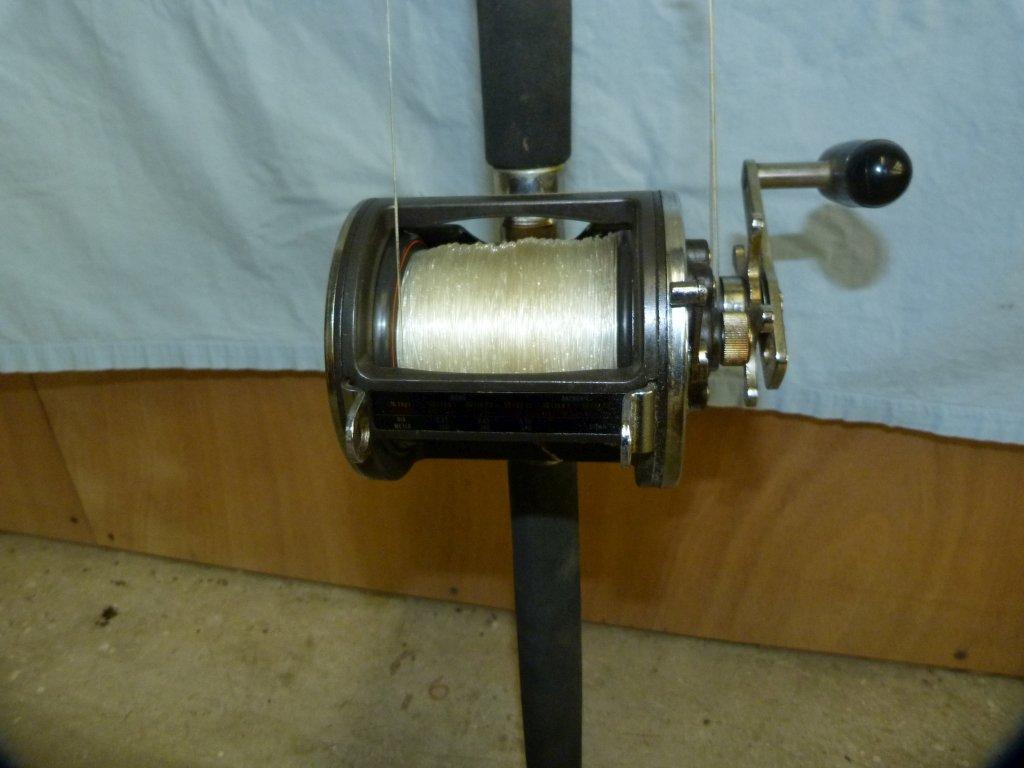 Unmarked saltwater rod w/Daiwa Sealine 450H reel