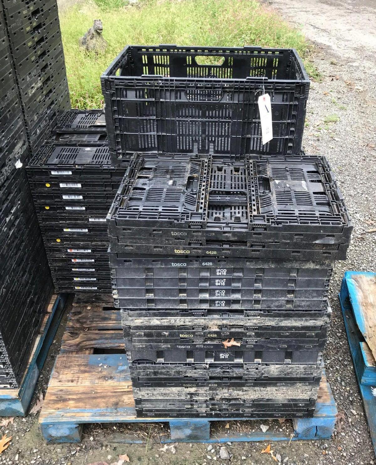 Pallet of Collapsible Crates