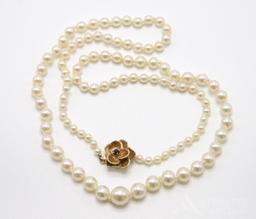 14KY Gold Pearl Necklace with Sapphire