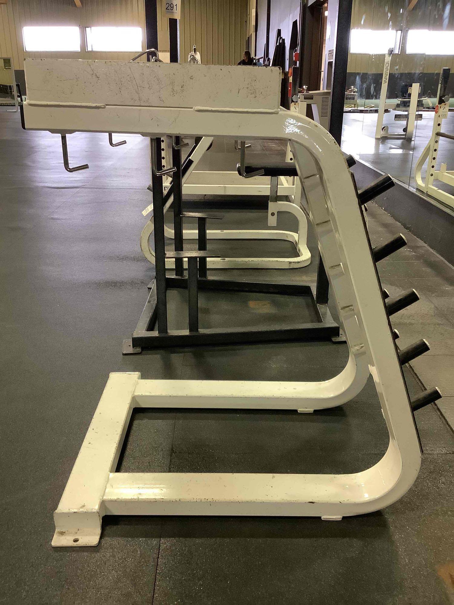 Icarian Weight Rack