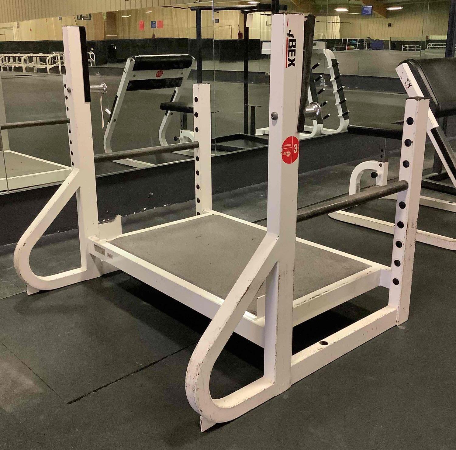 Cybex Squat Rack Platform