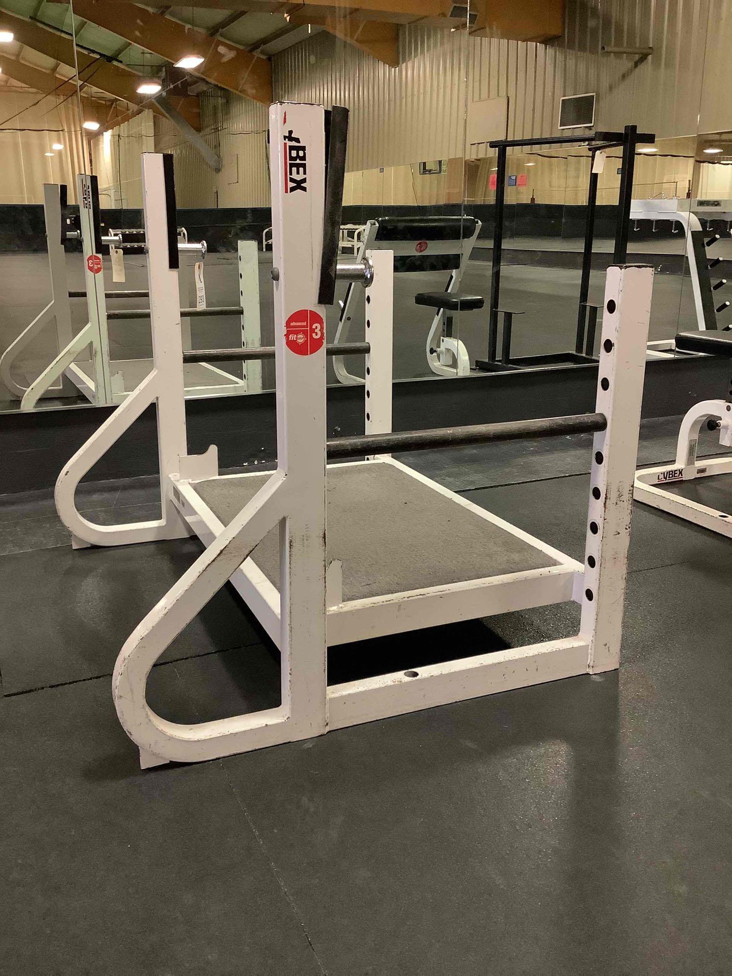 Cybex Squat Rack Platform