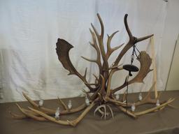 Stunning elk antler chandilier.