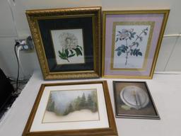 Framed Floral Prints