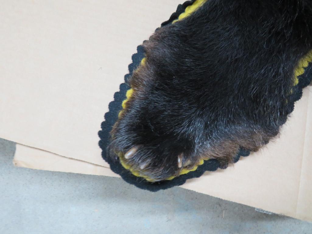 Black Bear Taxidermy Rug