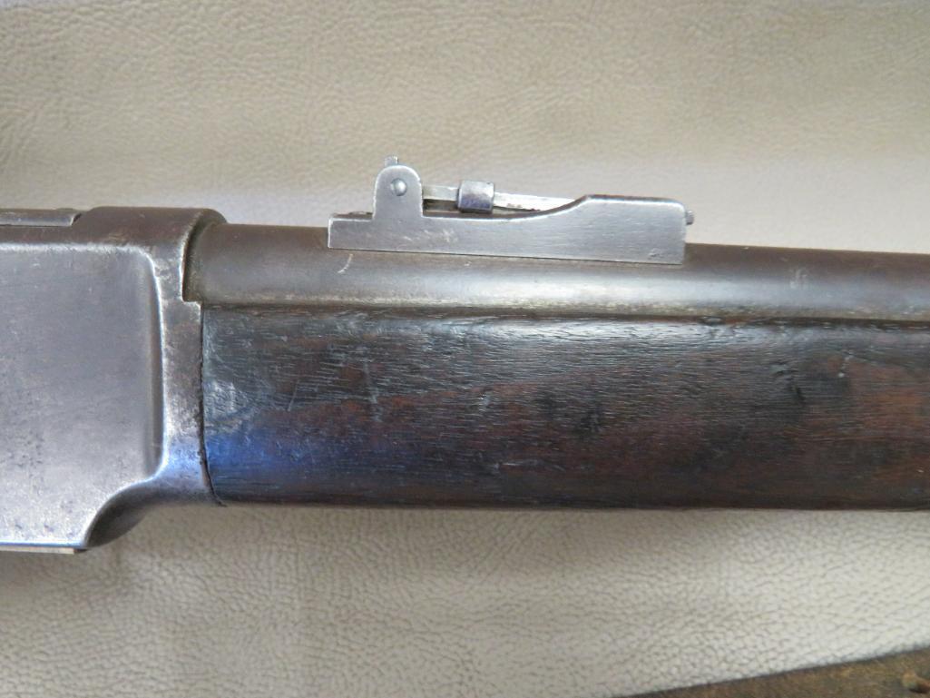 Winchester 1873 Musket