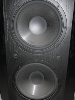 Infinity SSW-210 Servo Subwoofer