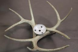 Two Artificial Deer Antler Light Fixtures