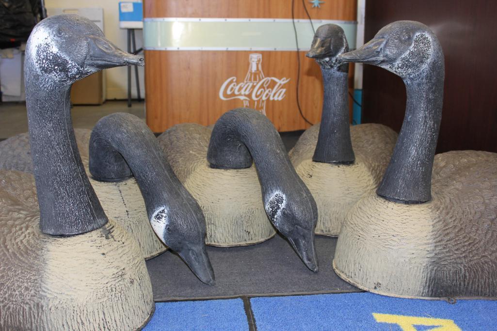 Five Carry Lite Magnum Canadian Goose Shell Decoys