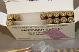 112 Cartridges 223 REM Ammunition