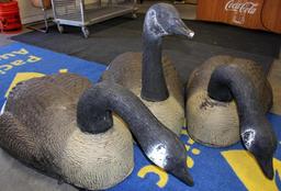 Three Carry Lite Magnum Canadian Goose Shell Decoys