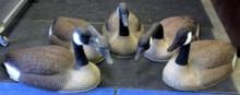 Five Regular Sized Canadian Goose Shell Decoys