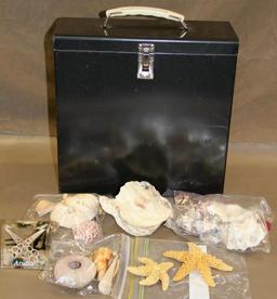 Sea Shell Collection and Metal File Box