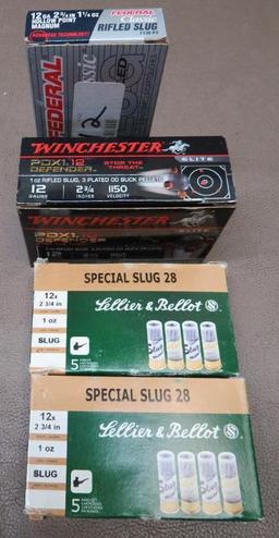 12 Gauge Slugs and Personal Protection Ammunition