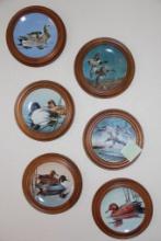 Six Duck Collector Plates in Wood Frames