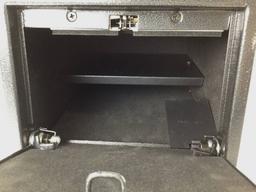 Fortress Dual Pistol Security Safe