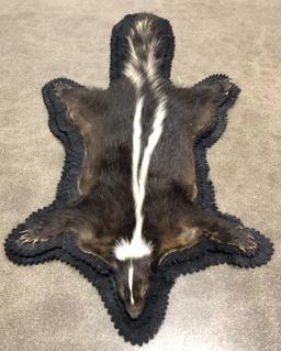 Taxidermy Skunk Full Body Rug