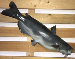 Large Blue Catfish Taxidermy