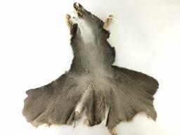 Natural Deer Hide Pelt (head And Neck Portion)