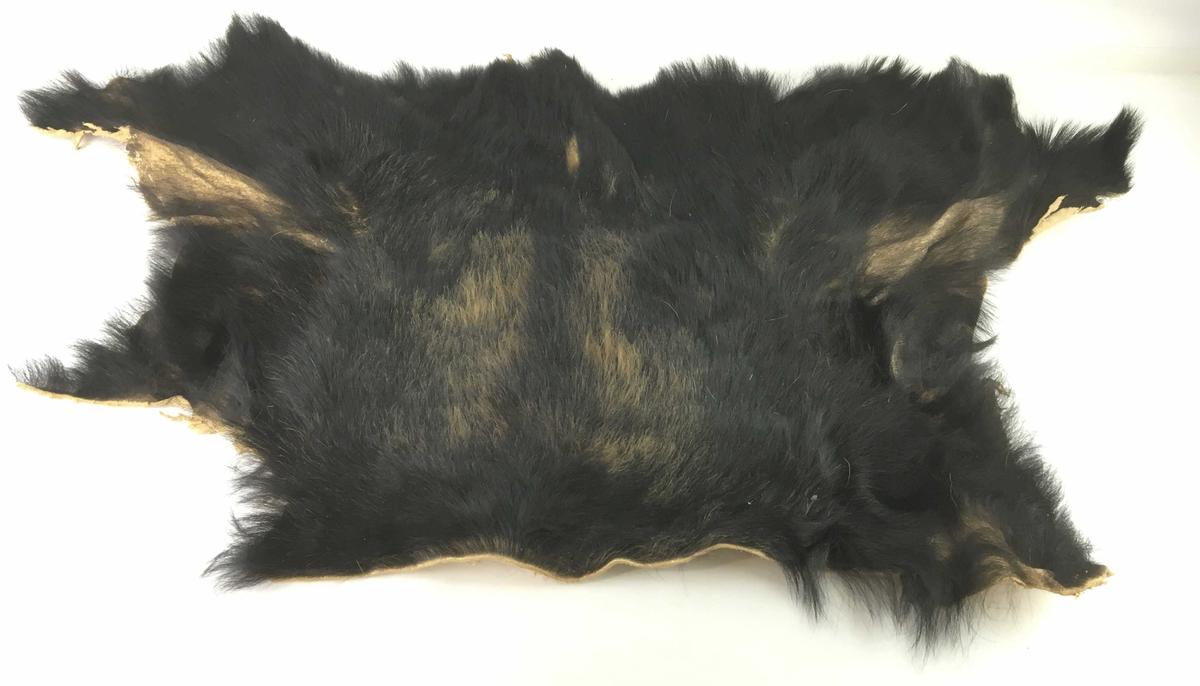 Tanned Natural Fur Hide Pelt