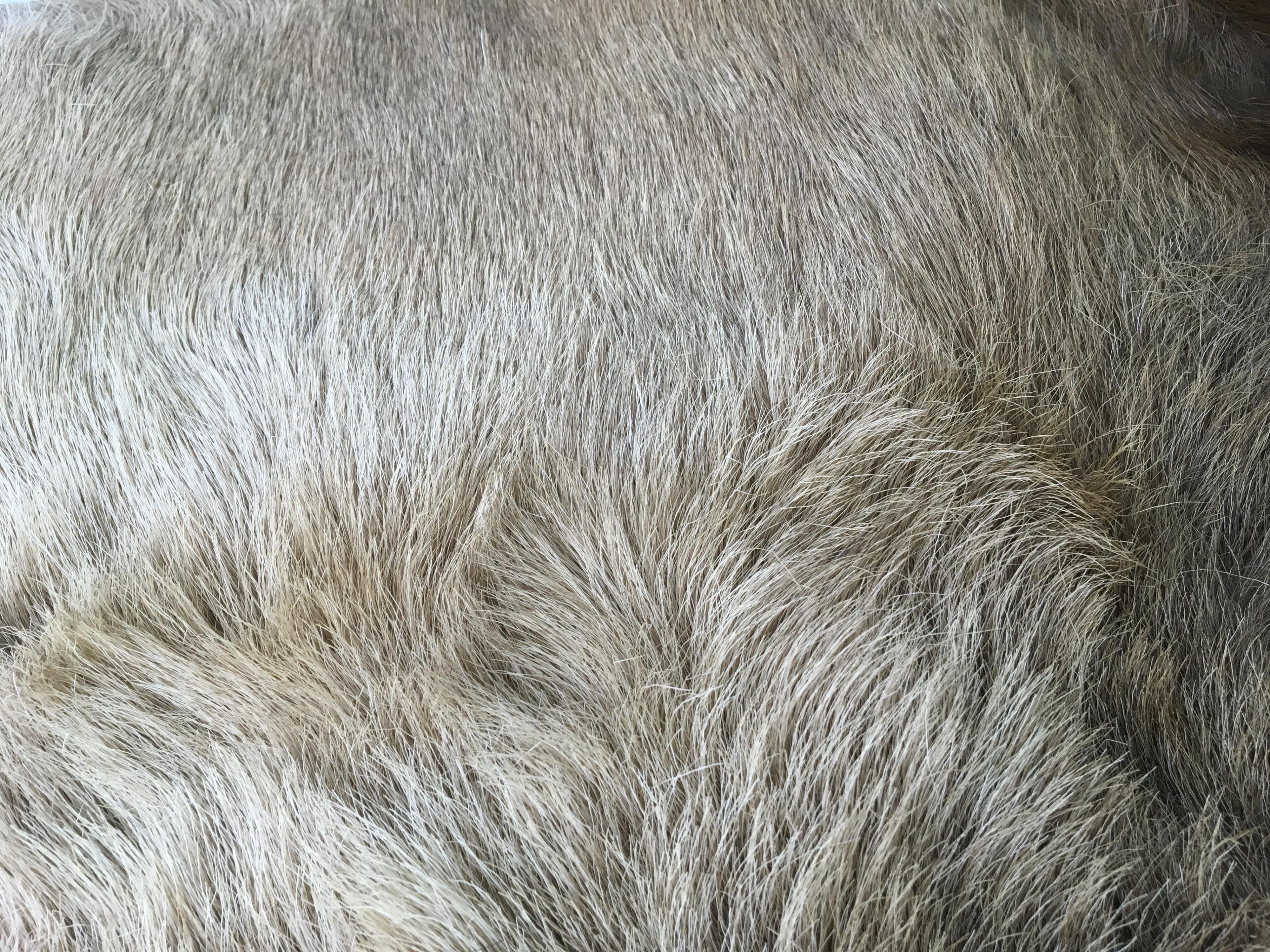 Natural Tanned Fur Hide Pelt